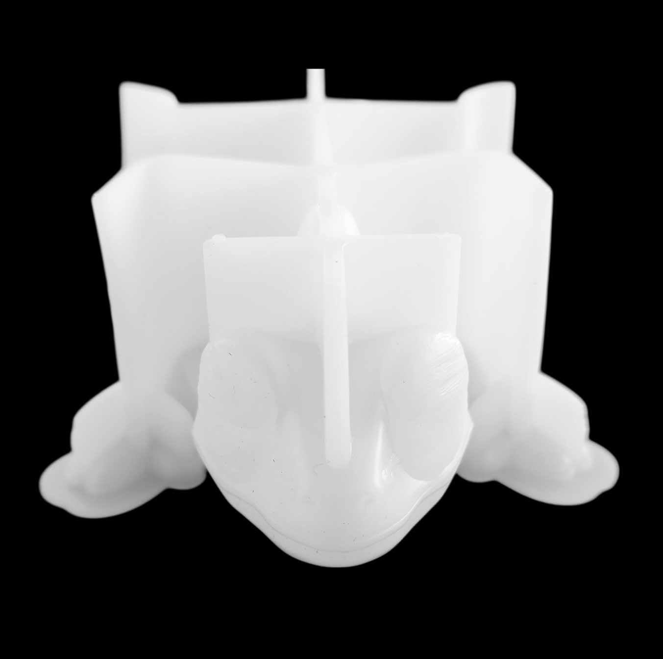 Chameleon Silicone Mold
