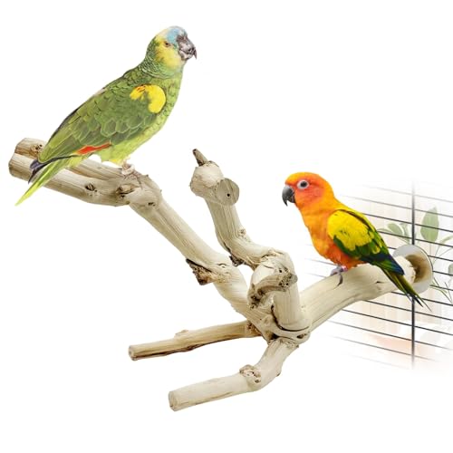 Image of kathson Bird Perch Stand 10 inch-12 inch Nature Wood Stand Toy Parrot Cage Branch Paw Grinding Fork Parakeet Platform for Parakeets Cockatiels Conures Finches Love Birds(Small)