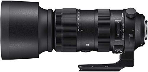 Sigma 730954 Objectif 60-600 mm F/4,5-6,3 AF S DG OS HSM, Fixation Canon, Noir
