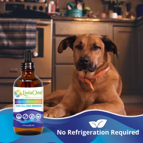 Liviaone Biolifepet Liquid Probiotics For Dogs, Organic Dog Probiotic Supplements, Puppy And Dog Pet Probiotics, 4 Fl Oz (Pack Of 1) #TOP4