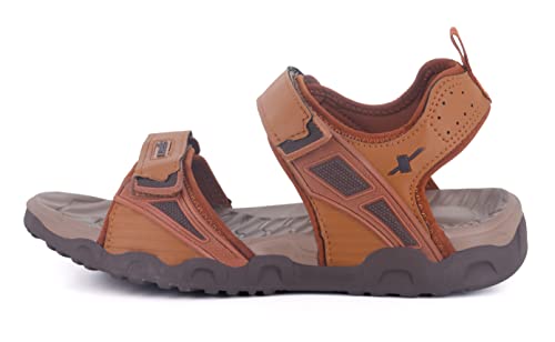 Image of SPARX Men Buckle Sandal