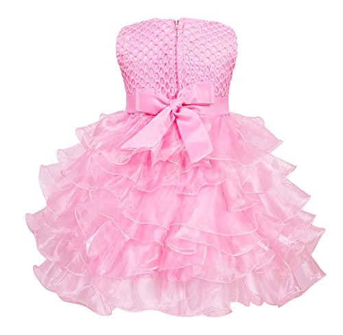 Robe Princesse Fille VASCHY - Tulle Papillon Manches Longues - 2 à