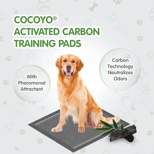 Image of COCOYO Dog Training Pads Large Size丨Activated Charcoal Block Urine Odor Puppy Pads丨Ultra Absorbent Leakproof Dog Pee Pads (40 Count, XL 34 inch x28