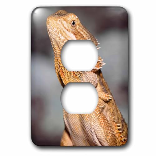 Couvercle pour interrupteur dragon barbu Na02 Aje0365