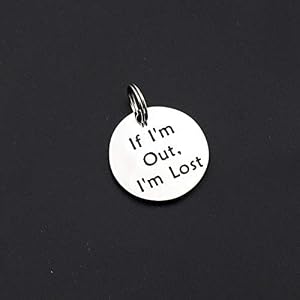 Pet ID Tag Engraved If I’m Out I’m Lost Personalized Collar Tags Gifts for Dog Cat (Silver) Pet ID Tag Engraved If I’m Out I’m Lost Personalized Collar Tags Gifts for Dog Cat (Silver)