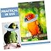 POPETPOP Parrot Protective Collar for Birds Recovery for Pecking Prevention Soft Microfiber Breathable Design for Parrots and Other Birds