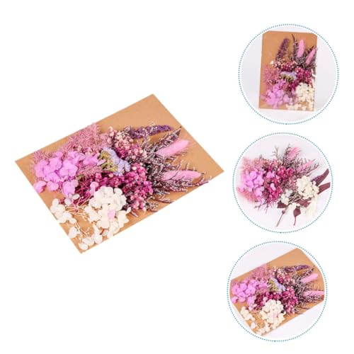 Kit de flores secas para manualidades y decoración miniatura 4