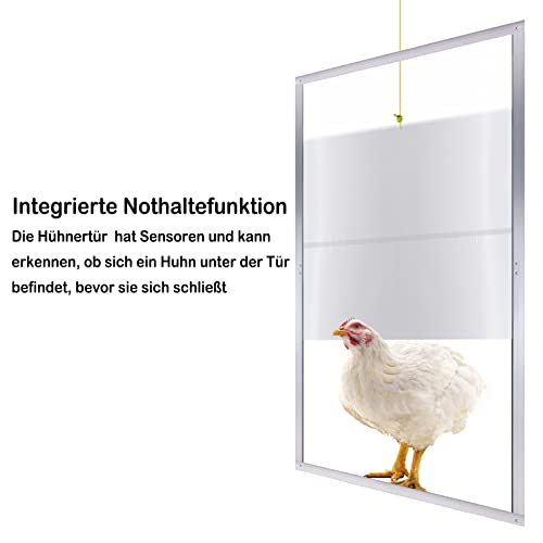 UISEBRT Hühnerklappe Automatische Hühnertür Elektrische Chicken Coop 30 x 30cm Hühnerstall Tür mit Zeitgeber und… – Bild 6