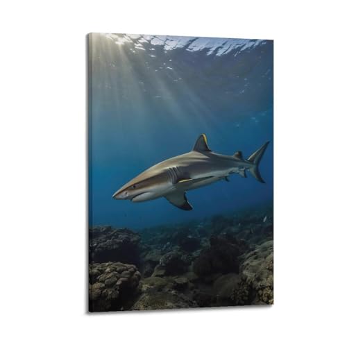 Poster grand requin blanc sur toile : dites adieu aux murs vides et tristes