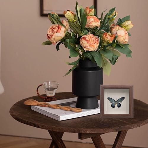 Image of 4 PCS Butterfly Display Case Shadow Box Frame, Insect Display Case Specimen Showcase Insect Specimen Storage Box for Bug Butterfly Insect Collection Display, 4.7 x 4.7 Inch