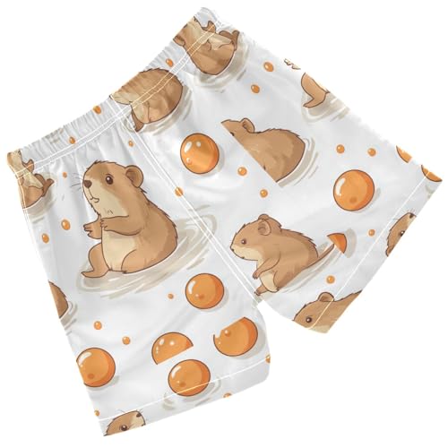 Pigsaly Boys' Swim Board Shorts Cute Capybara Balls Boy's Swim Trunks Kids Swimwear S Multicolor2