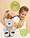 NICI Kuscheltier Bär Bendix 20cm Green I Schlenkernder Teddybär mit großen, knuffigen Tatzen I Plüschtier für Schmusetierliebhaber I Stofftier – 49436