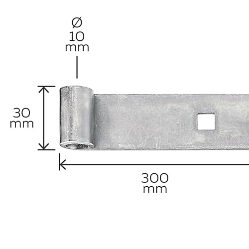 Alberts 313647 Ladenband | in verschiedenen Ausführungen | galvanisch verzinkt, dickschichtpassiviert | Rolle Ø10 mm | Größe 300 x 30 mm
