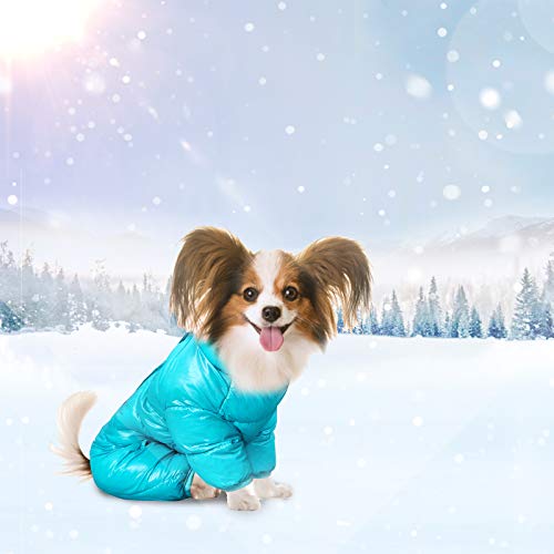 DECDEAL Roupas para animais de estimação Casaco impermeável para animais de estimação Roupas para cã