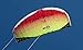 Prism Kite Technology Tantrum 220 Dual-line Parafoil Kite with Control Bar
