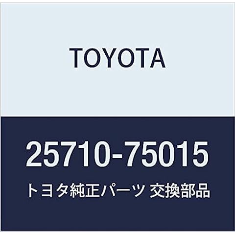 TOYOTA Air Pump Check Valve Cover