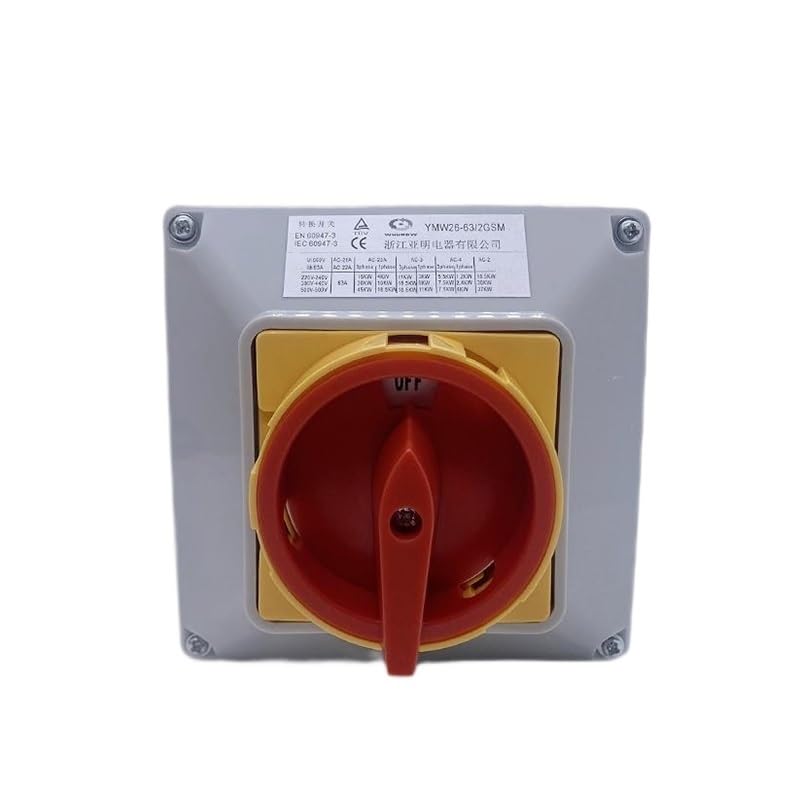 Interrupteur d'isolation étanche GS-63/2M à coupure de charge robuste 63A - 3