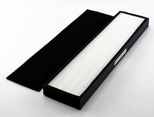 InvisiClean True HEPA Replacement Filter - IC-6022-Filter - Compatible IC-6022, Models AC4300BPTCA, AC4900CA, AC4825, AC4850PT, AP2200CA, Oransi Finn, BXAP148