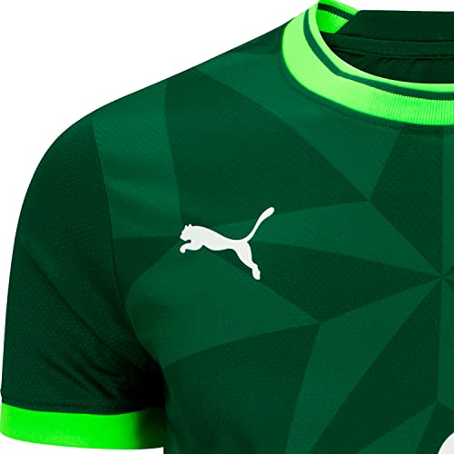 Palmeiras Réplica Home Jsy 23