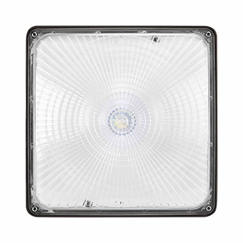 Gkoled 27W Super Bright Led Canopy Light, 3800Lumens, 5000K Daylight White, 100W Psmh Replaces, Dark Bronze Finish, Ul Listed, Ideal For Indoor And Outdoor Applications #TOP1