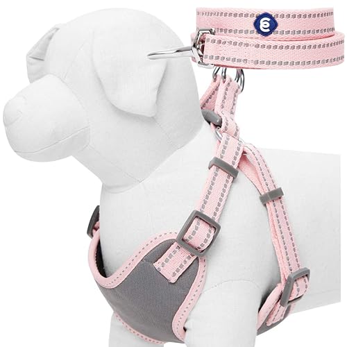 Blueberry Pet Matching Reflective Harness and Leash Set | Adjustable Pastel Vest with Lead for Dogs – Great Value Gift Set | Adjustable Baby Pink Vest for Large Breeds