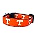 NCAA Tennessee Volunteers Dog Collar (Team Color, Medium)