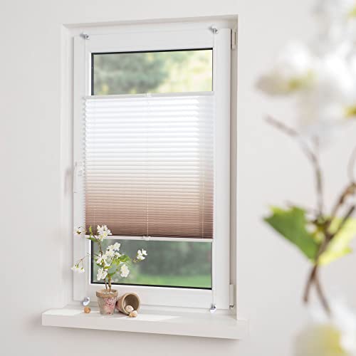 Homelia Plissee mit Farbverlauf, Blickdicht, inkl.Klemmträgern, Montage ohne Bohren, Breite: 60 cm/Länge: 130 cm, Farbe: Caffe Latte