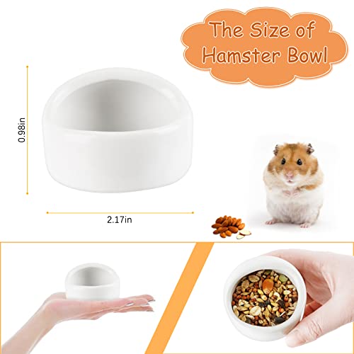 Fitlyiee Ceramic Chew-Resistant Hamster Bowl Dish For Hamsters Hedgehog Guinea Pig And More Small Animals (White) #TOP1