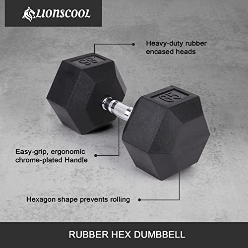 Lionscool Hex Dumbbell (65Lb Single) #TOP1