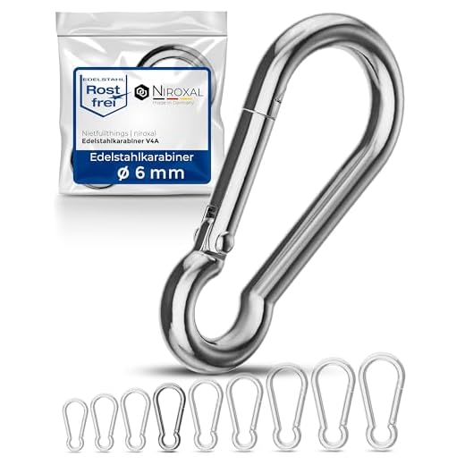 10 delar 6-mm Karbinhake i rostfritt stål utan ögla - gjord i V4A robust form utan öga brottlast 900 kg snäppkrok brandkarbinhake 316 6x60-mm