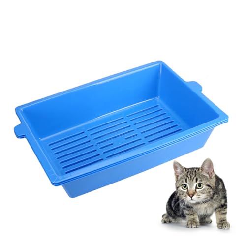 Bac à litière chat plastique bleu toilettes chats sans projection