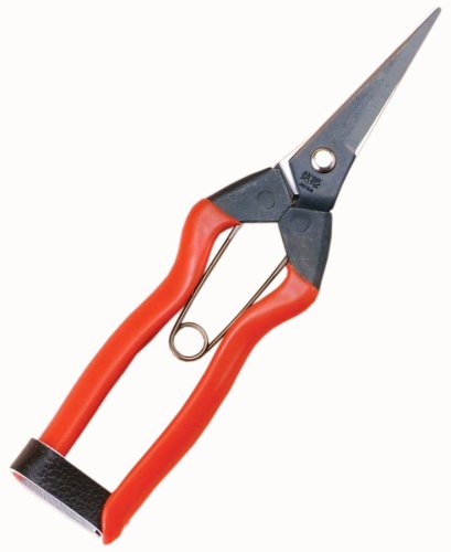 Ciseaux Koshiji K-10 pour tailler précisément sans fatiguer les mains