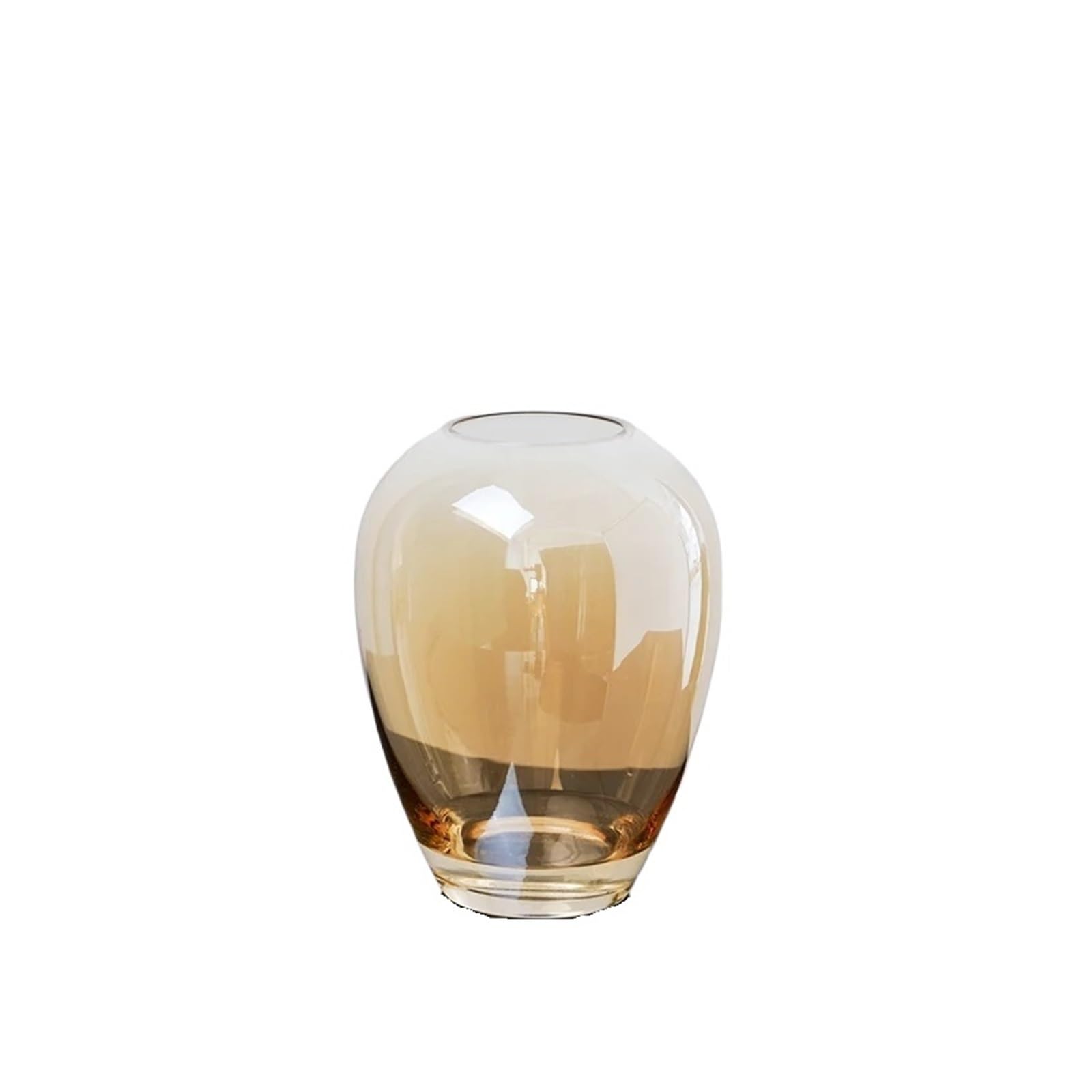 Vase hydroponique pour décoration de salon moderne et arrangement de fleurs