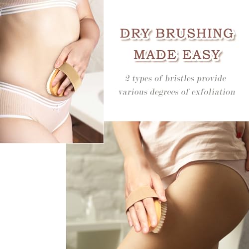 FREATECH 2-Pack Dry Brushing Body Brush Set for Lymphatic Drainage, Blood Circulation, Remove Dead Skin, Cellulite with Soft & Stiff Bristles, Wet or Dry Brushing for All Kinds of Skin - Image 5