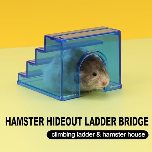Esconderijo de hamster, ponte de escada de brinquedo para escalada de hamster, escada de escalada co