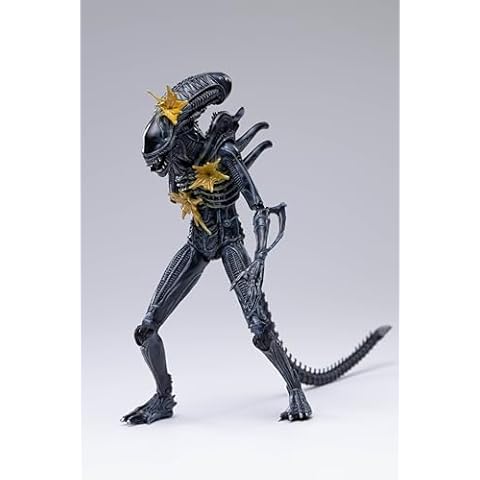 Hiya Toys Alien Warrior Figure Cover