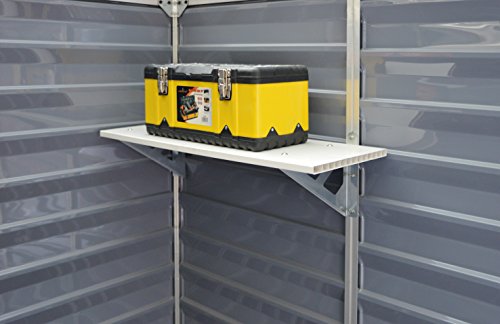 Palram 6X10 Skylight Shed Dark Grau Bundle Gerätehäuser, 305,5x185,5x217 cm – Bild 5