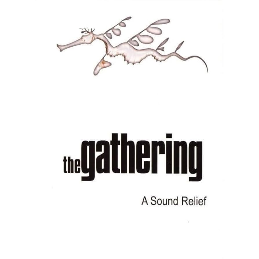 Amazon.co.jp: A Sound Relief [DVD] : Gathering: DVD