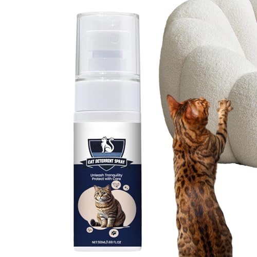 L̂h~Xv[ | 50ml Ƌݖh~Xv[ - h~ ybg̊ލsh~ یXv[ OA J[ybg \t@ U[p,v\t@ J[ybg ϗtAp