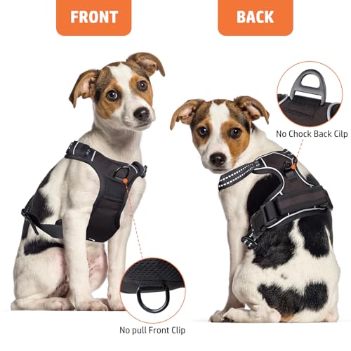 Hundegeschirr und 1.5m Leine Set, Brustgeschirr für Kleine Mittelgroße Grosse Hunde, Weich Atmungsaktiv Einstellbar Reflektierend Hundegeschirr Anti Zug (Schwarz, S)