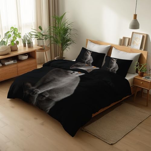 CozyRest Housse de Couette Noir 200 x 200 cm Chat British Shorthair Parure de lit 2 Personne en Respirante avec Fermeture Éclair Réversible Sets de Housse...