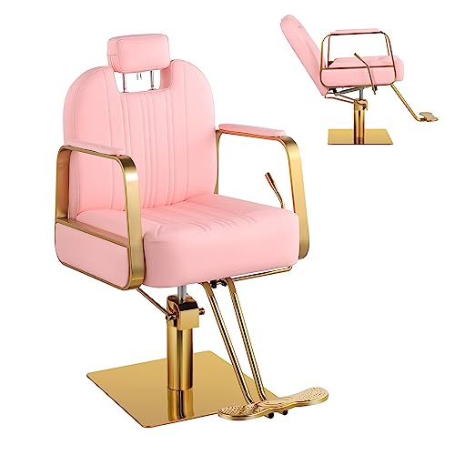 Luxmars Barber Chair Salon Chair Reclining Hydraulic Hairdresser Styling Chair Hair Chair All Purpose Beauty Spa Salon Equipment, Max Load Weight 440 Lbs - Pink #TOP7