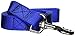 Guardian Gear Basic Nylon Dog Leash, 4-Feet x 1-Inch Lead, Blue
