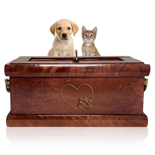 How long are house cats in heat