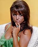 Claudia Cardinale Foto, 25,4 x 20,3 cm