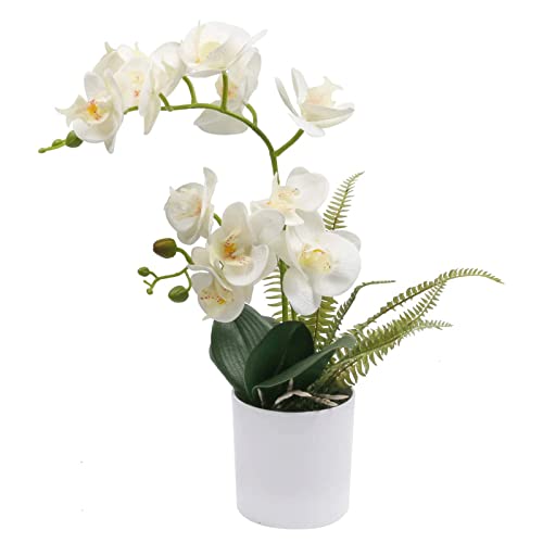 Orchidée artificielle Real Touch de 38 cm fleurissant votre salon et bureau