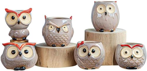 Giawkca 6_ tNE k 㕗 A ϗtA T{e t[|bg Aؔ  K[fjO  v^[ CeA  ꕔJE aMtg