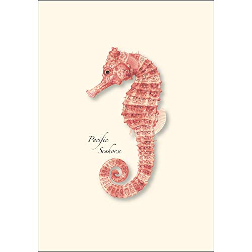 Image of Earth Sky + Water - Pacific Seahorses Notecard Set - 8 Blank Cards with Envelopes (4 each of 2 styles)