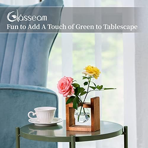 Propagation Station 1 Pc Bulb Vase Glass Sweet Pea Vase for Flowers Terrarium Jar Planter with Wooden Rack Stand Holders for Green Water Plants Fit for Home Kitchen Table Desk Indoor Decor
