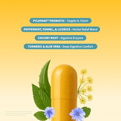 Image of Snap Supplements Gut Health Lipase Supplement with Probiotics for Women & Men, Digestive Enzymes & Prebiotics - Turmeric, Aloe, Pylopass & Zinc, 50 Vegetarian Capsules